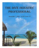 Cover - DIP - Dec 2022